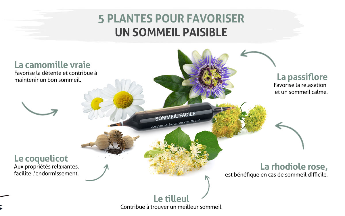 Sommeil Facile - ingredients